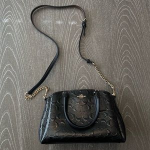 Coach Carryall Mini Sage Cross Body Bag